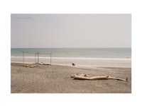 a sand beach with a tree stump and a beach umbrella